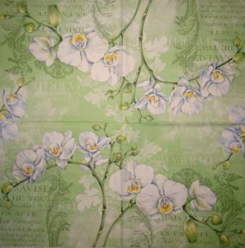 019 Orchids (19)